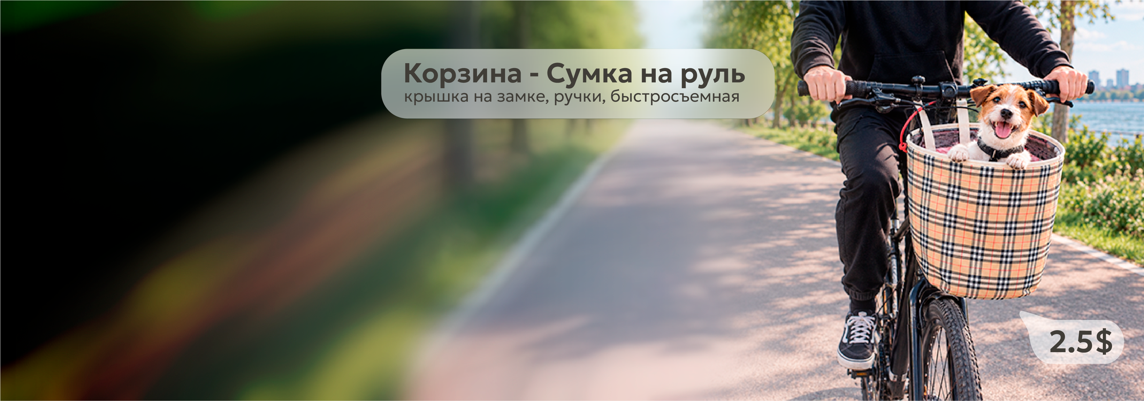 Баннер